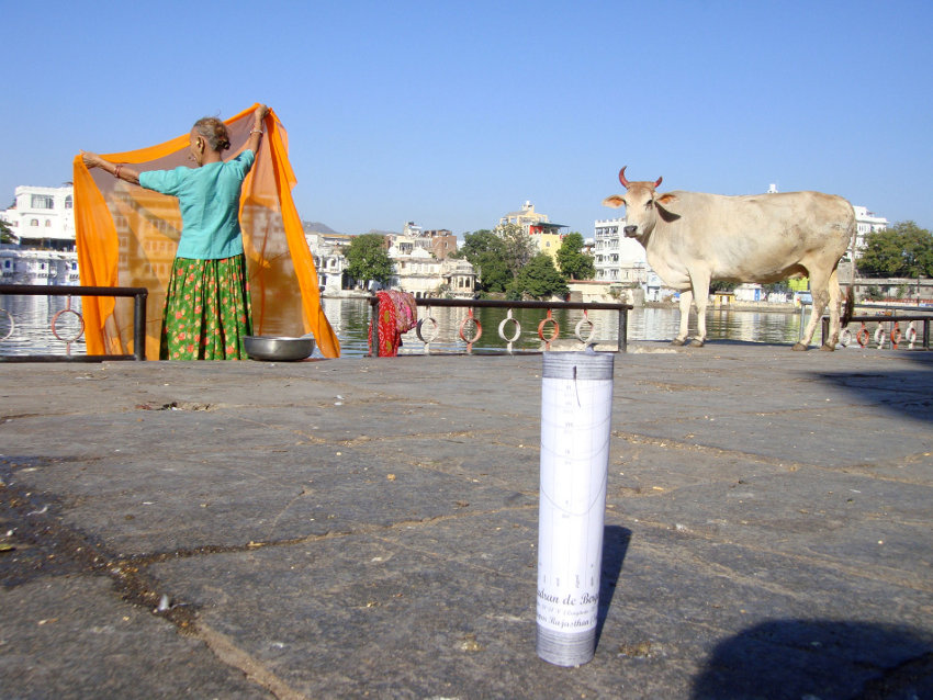 cadran de berger à Jaipur