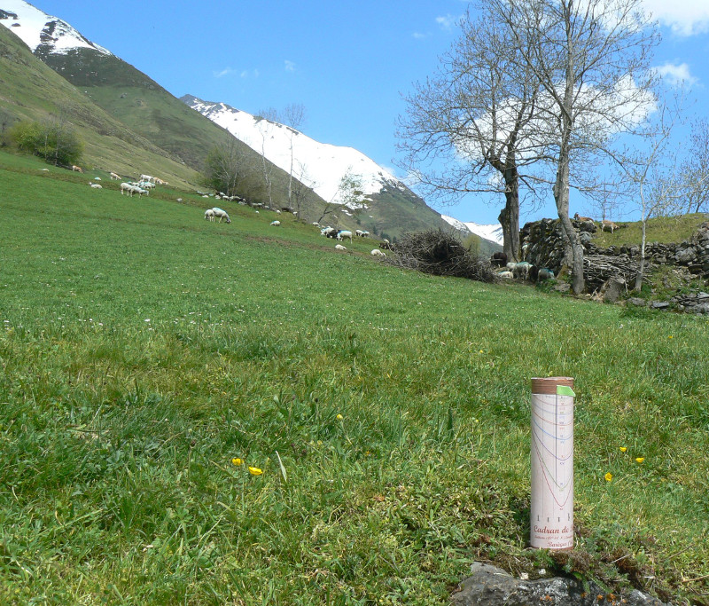 cadran de berger dans les Pyrénées
